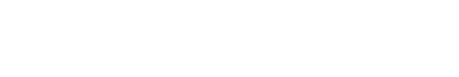 Servvian